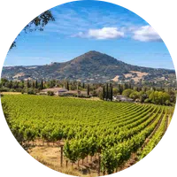 Morgan-Hill-Real-Estate Home