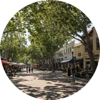 Sunnyvale-Real-Estate Home