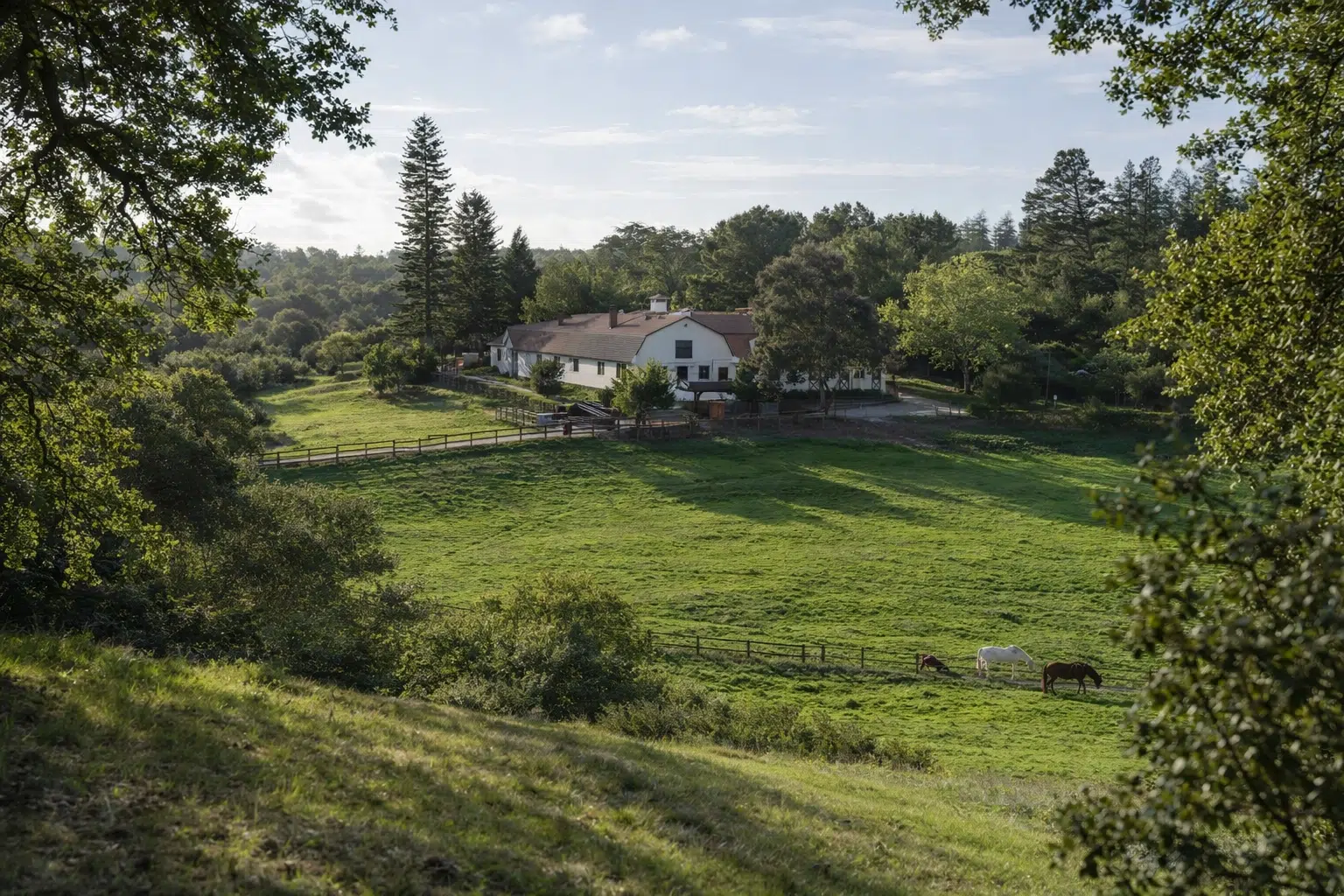 los-altos-hills-hero Los Altos Hills Homes for Sale