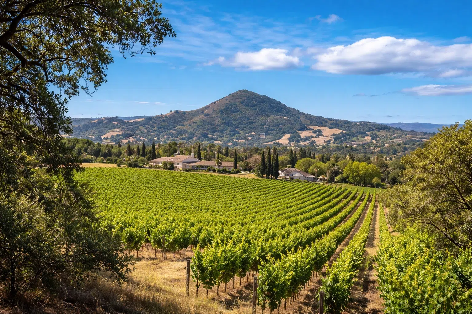 morgan-hill-hero Morgan Hill Homes for Sale